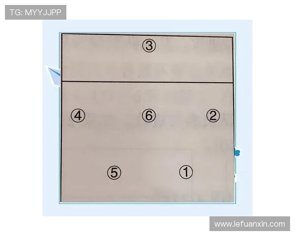 广州排球队战术解析与对比深度剖析球队风格与技术特点